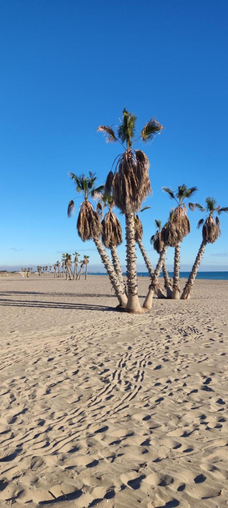 Balcon Del Mar Apartment Canet d'En Berenguer Екстериор снимка